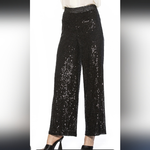Messini Pants - NWT. Messini sequin pants chocolate Brown Pants.Size PXl